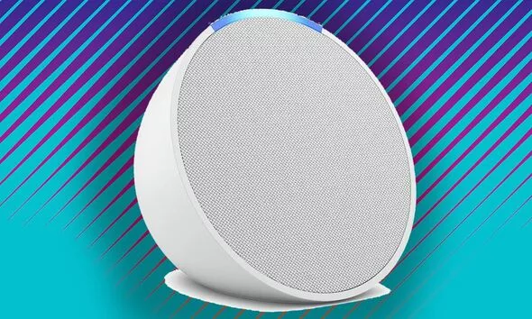 Amazon customers need to act quickly to secure the lowest price ever on an Echo speaker